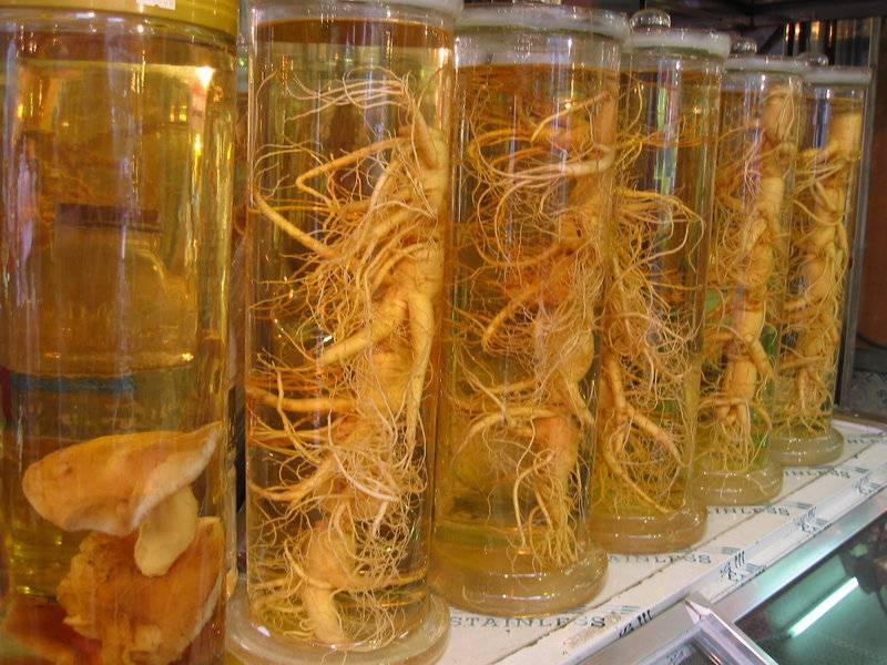 Ginseng
